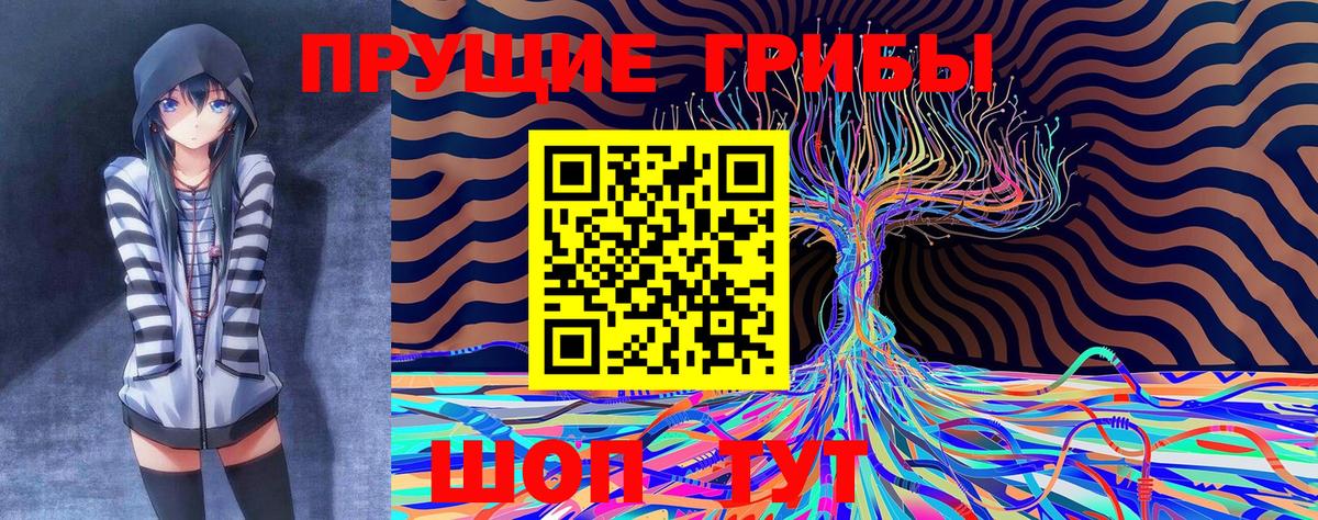 Петрозаводск  Галлюциногенные грибы Psilocybe  Вход с VPN 